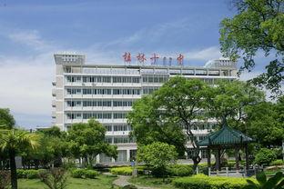 桂林楼盘爆料信息网最新,最新动态盘点，揭秘热门项目详情